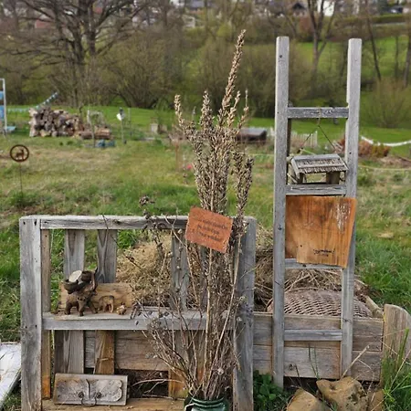 캠프장 Naturcamping Igluzelt Mit Hund Im Privatgartennaturcamping Igluzelt Mit Hund Im Privatgarten 슐로크텐